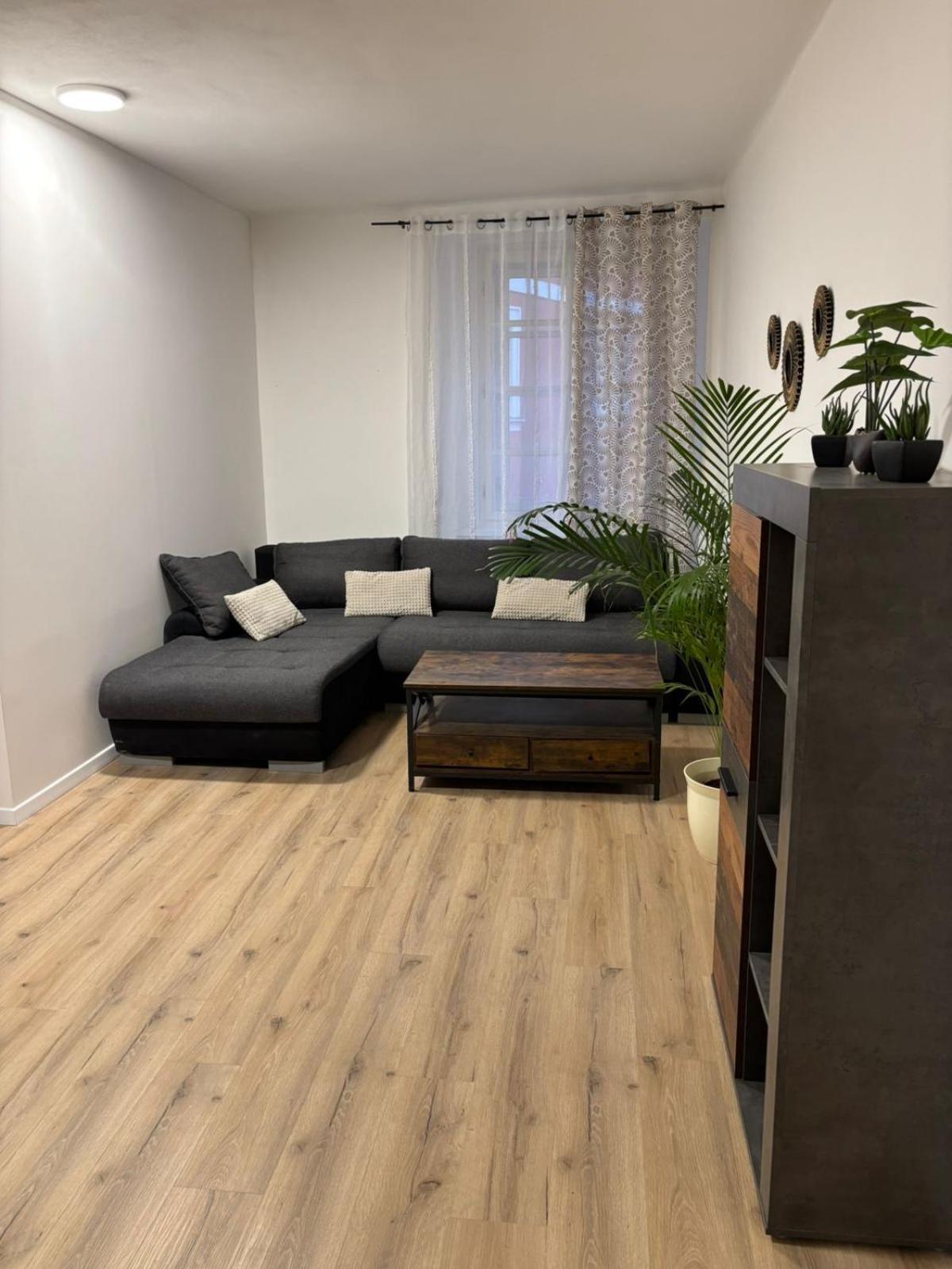 Apartment Am Schlosspark 2 Cheb Εξωτερικό φωτογραφία
